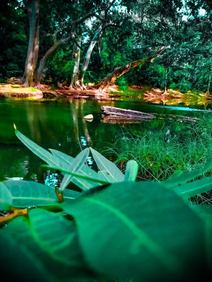 Lake Front Yala Safari Kataragama Eksteriør bilde