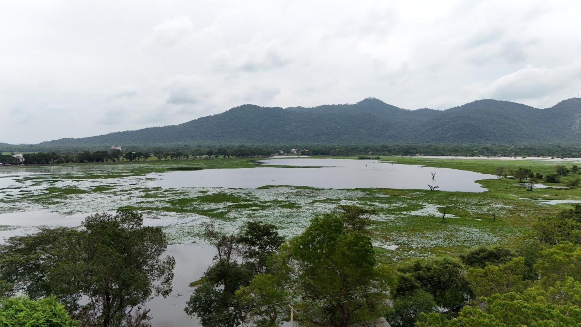 Lake Front Yala Safari Kataragama Eksteriør bilde