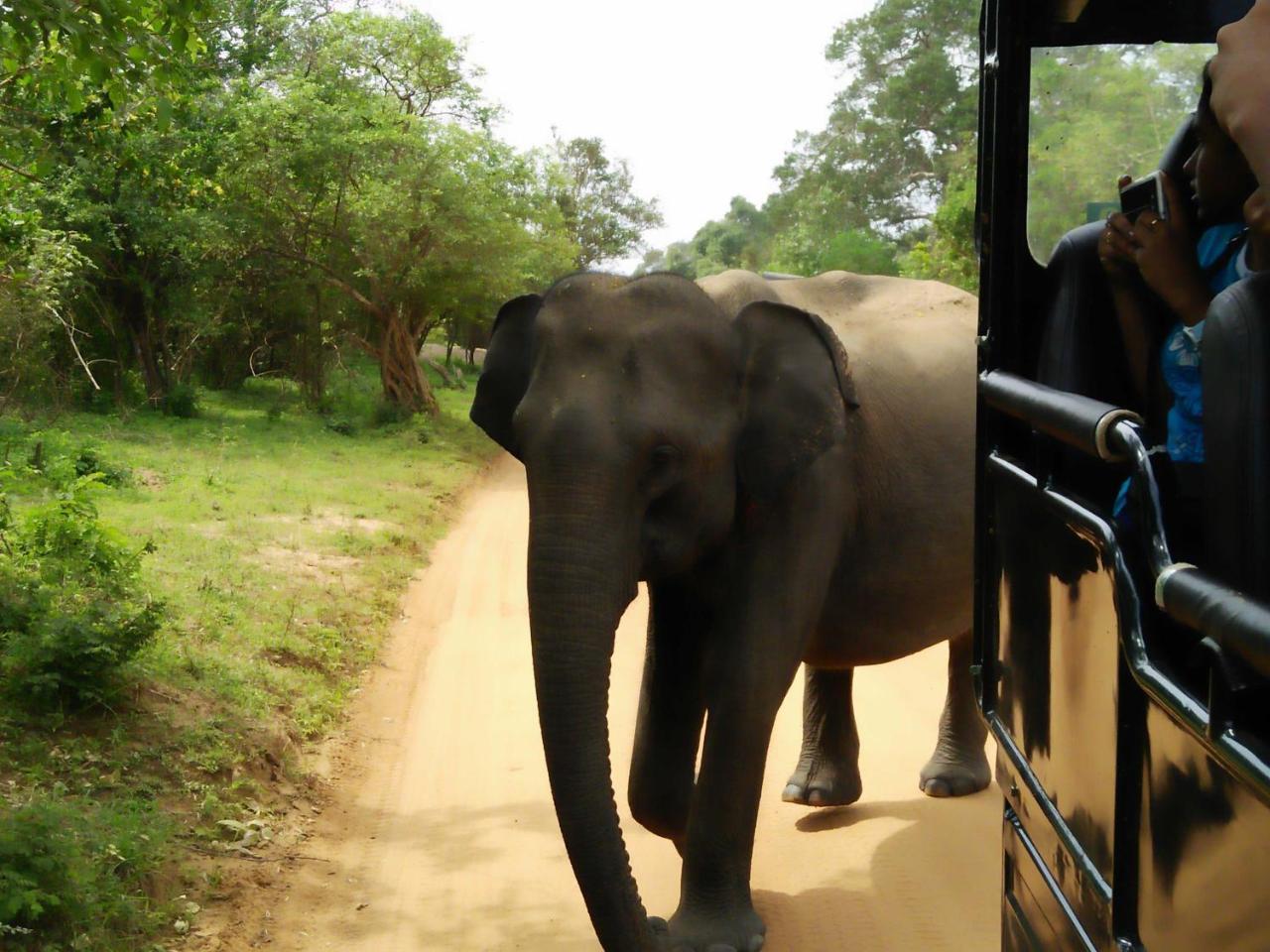 Lake Front Yala Safari Kataragama Eksteriør bilde